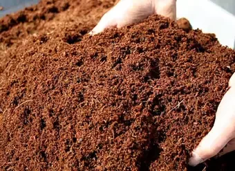 100% Natural Coco Peat -2kg