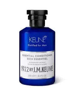 1922 Essential Conditioner